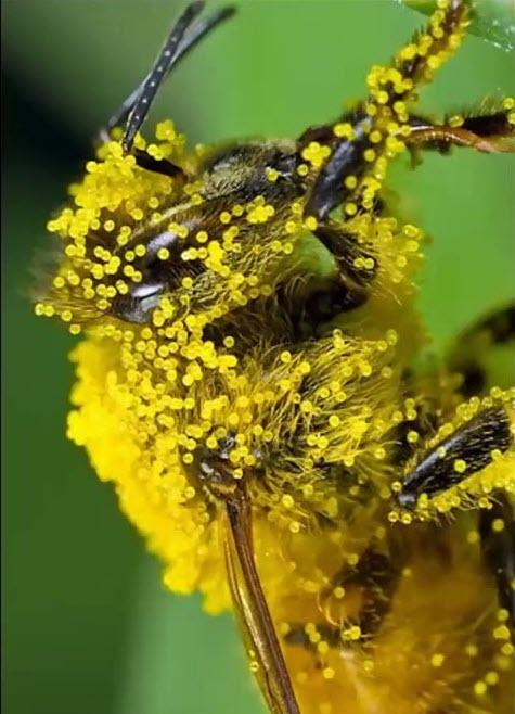І Зимова Школа від Фундації Жінок Пасічниць